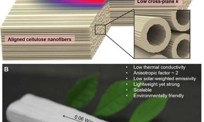 Gỗ nano - Vật liệu thân thiện với môi trường